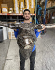 100 Wall Hanging Longhorn Recycled Metal Sculpture - Xformerz