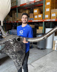 100 Wall Hanging Longhorn Recycled Metal Sculpture - Xformerz