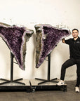 Amethyst Geode Wings Pair - 67 in. 474 lbs - Xformerz