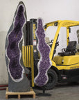 Amethyst Swiggly Pair- 434 kg955 lbs - Xformerz
