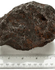 Natural Campo Del Cielo Iron Meteorite from Argentine - 3,000 grams - Xformerz