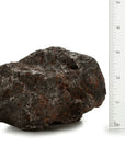 Natural Campo Del Cielo Iron Meteorite from Argentine - 3,000 grams - Xformerz