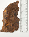 Natural Chinga Iron Meteorite from Russia - 660 grams - Xformerz
