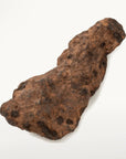 Natural Chinga Iron Meteorite from Russia - 775 grams - Xformerz