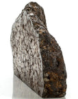 Natural Sericho Pallasite Meteorite from Kenya - 5,309 grams - Xformerz