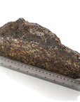 Natural Sericho Pallasite Meteorite from Kenya - 5,309 grams - Xformerz