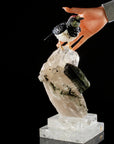 Peter Muller Obsidian, Ocean Jasper, Rhodochrosite, & Yellow Quartz Acorn Woodpecker Love Bird Carving on Quartz Cluster & Tourmaline Base - Xformerz
