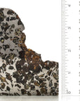 Seymchan Pallasite Iron Meteorite - 406 grams - Found in 1967 - Russia - TKW 350 kg - Xformerz