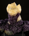 Uruguayan Amethyst Geode Specimen with Natural Rare Calcite Crown - Xformerz