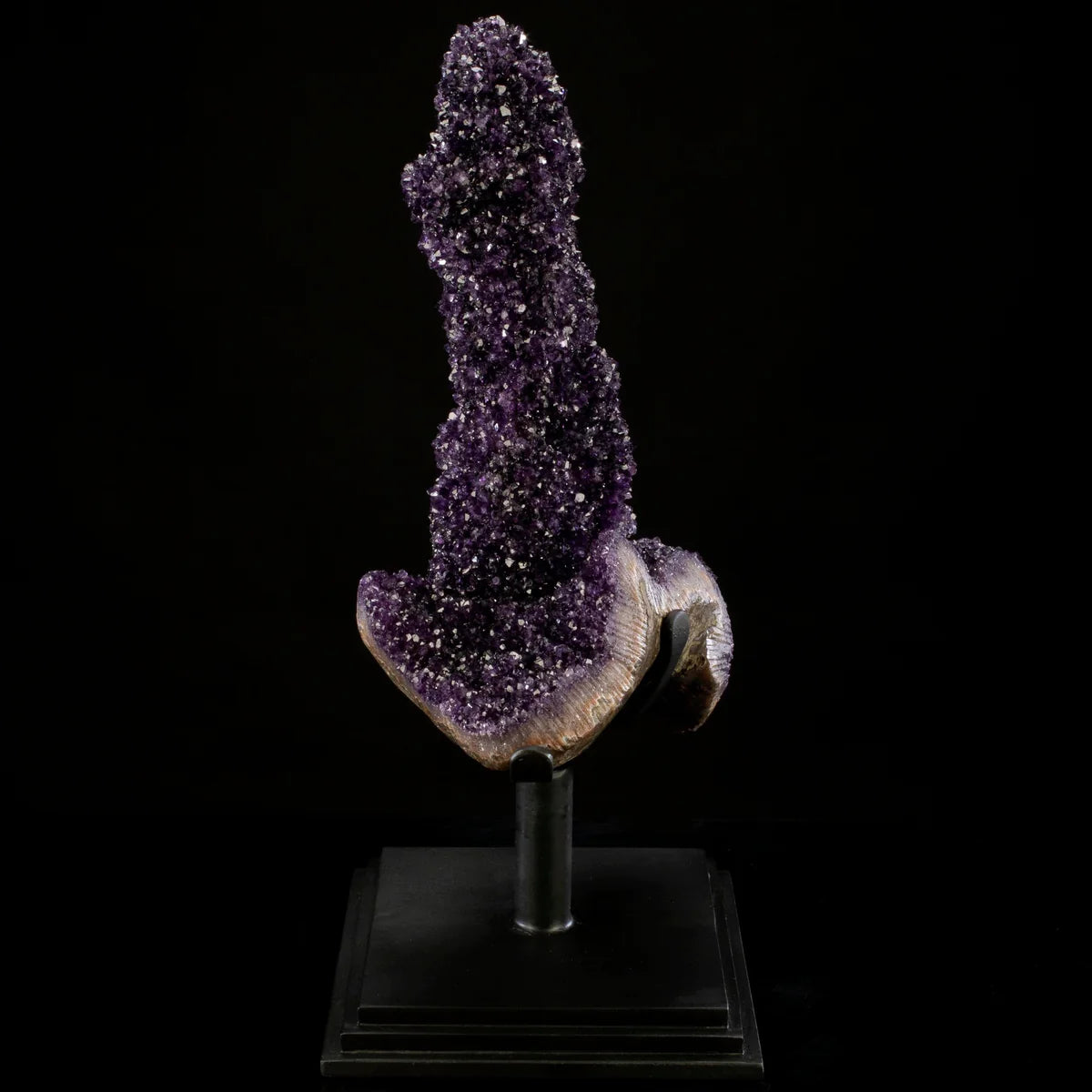 Uruguayan Amethyst Geode Specimen with Rare Stalactite Growth