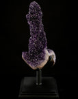 Uruguayan Amethyst Geode Specimen with Rare Stalactite Growth