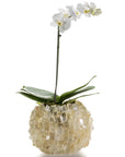 10.5 Calcite Gemstone Vase - Xformerz