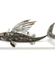 35 Flying Fish (Right) Recycled Metal Art Sculpture - Xformerz