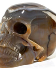 Agate Skull Carving 7 3,219g - Xformerz