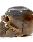 Agate Skull Carving 7 3,219g - Xformerz