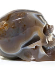 Agate Skull Carving 7 3,219g - Xformerz