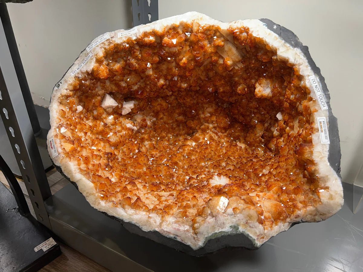 BCG18000.002 - Brazilian Citrine Geode48.1 kg, 106 lbs - Xformerz