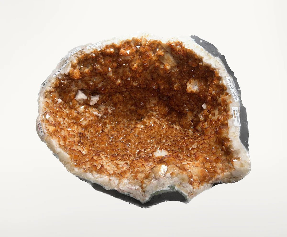 BCG18000.002 - Brazilian Citrine Geode48.1 kg, 106 lbs - Xformerz