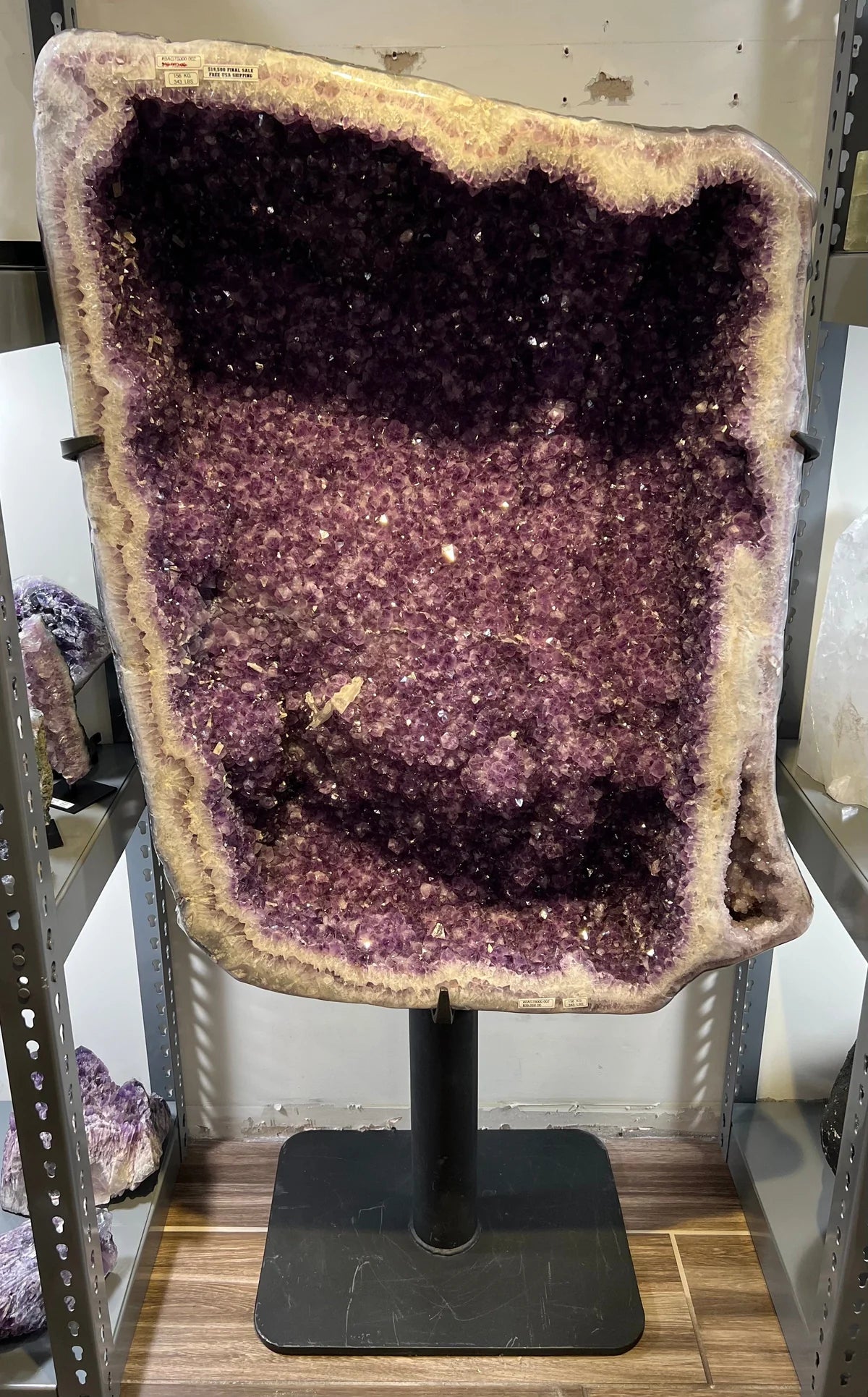 Brazilian Amethyst Geode156 kg, 343 lbs - Xformerz