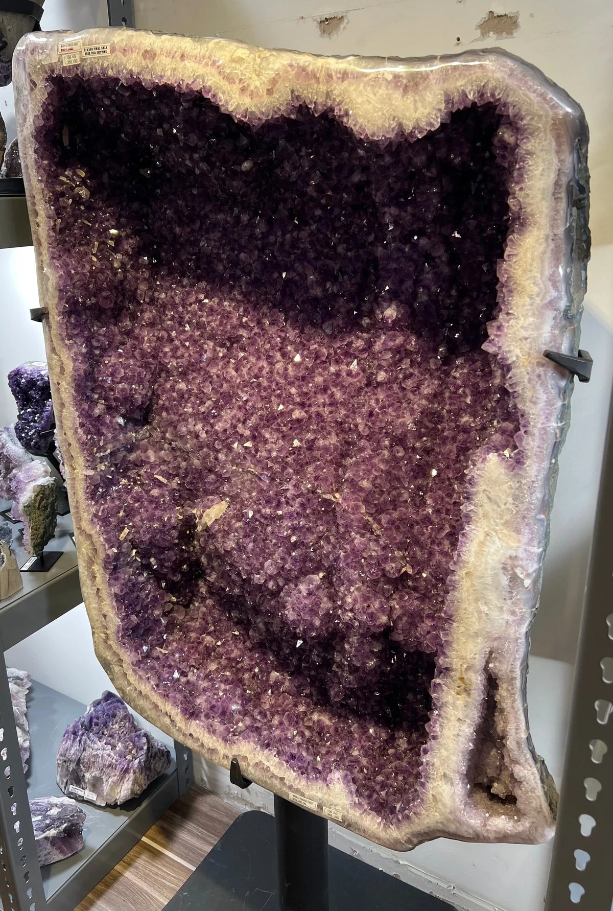 Brazilian Amethyst Geode156 kg, 343 lbs - Xformerz