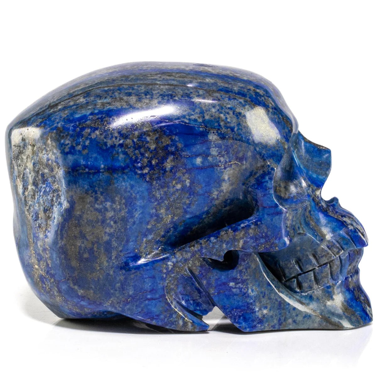 Lapis Skull Carving 7&quot; / 3,731g - Xformerz