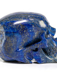 Lapis Skull Carving 7" / 3,731g - Xformerz