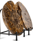 Natural Ammonite Pair from Madagascar - 11.5 in. 25 lb - Xformerz