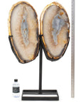 Natural Brazilian Agate & Quartz Slice Wings on Custom Stand - 32.5 42 lbs - Xformerz