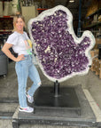 Natural Brazilian Amethyst Geode - 70 in 803 lbs - Xformerz