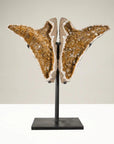 Natural Brazilian Citrine Geode Wing Pair on Custom Stand - 63 in / 255 lbs - Xformerz