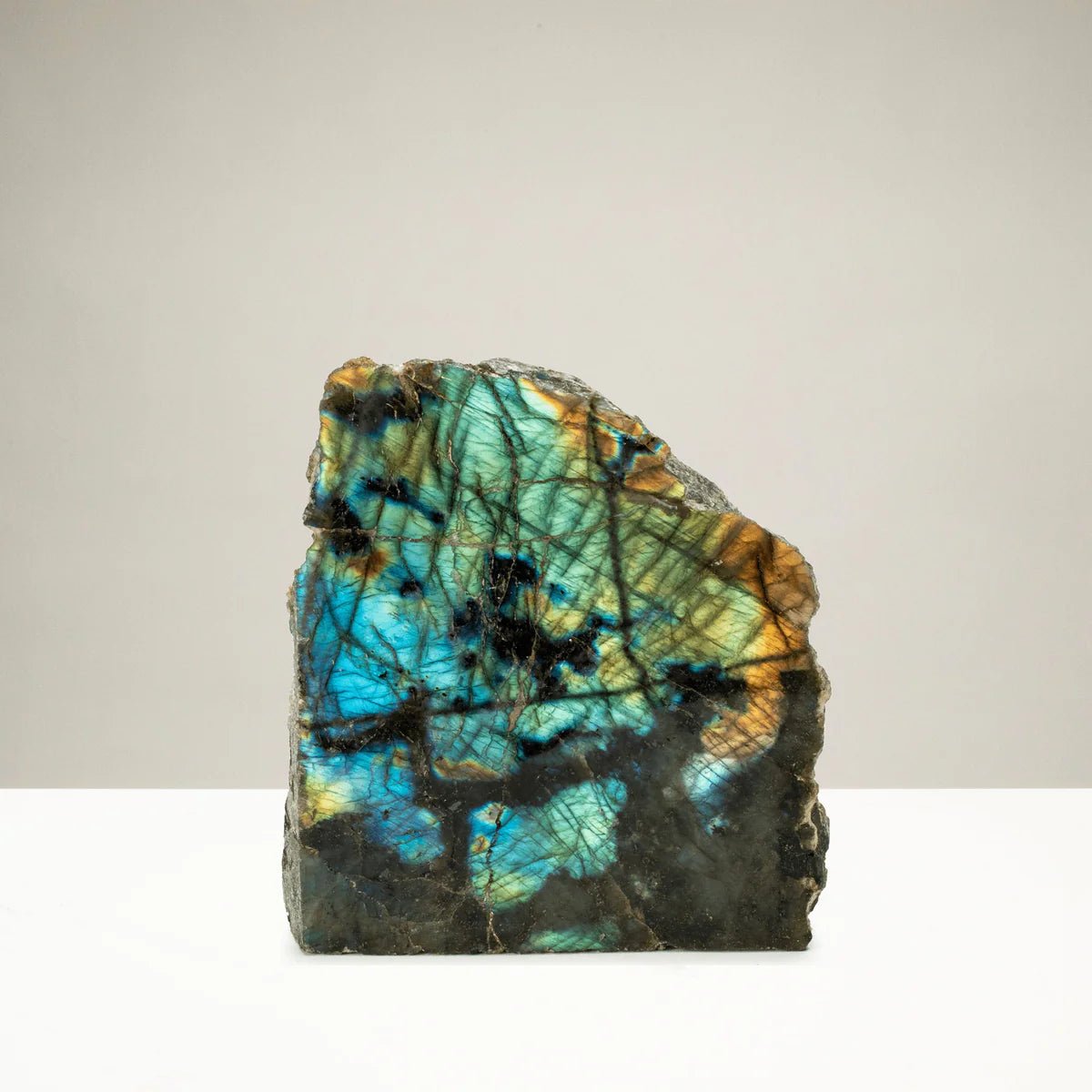 Natural Freeform Labradorite Cut Base from Madagascar - 1,300 grams - Xformerz