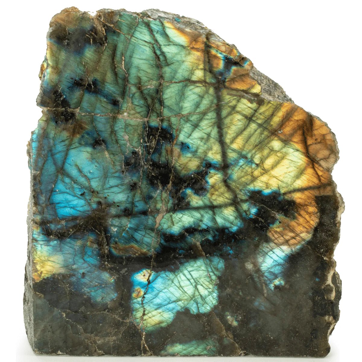 Natural Freeform Labradorite Cut Base from Madagascar - 1,300 grams - Xformerz