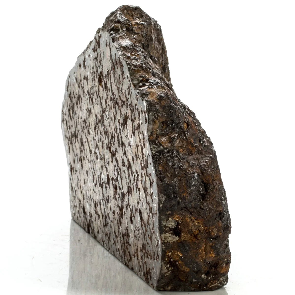 Natural Sericho Pallasite Meteorite from Kenya - 5,309 grams - Xformerz