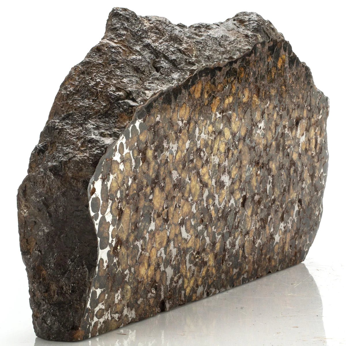 Natural Sericho Pallasite Meteorite from Kenya - 5,309 grams - Xformerz