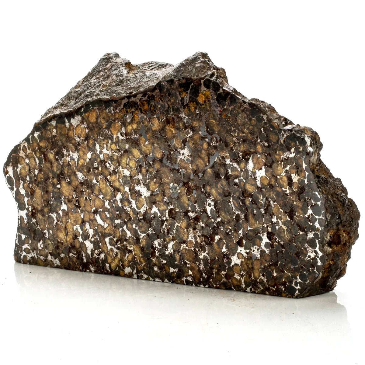 Natural Sericho Pallasite Meteorite from Kenya - 5,309 grams - Xformerz