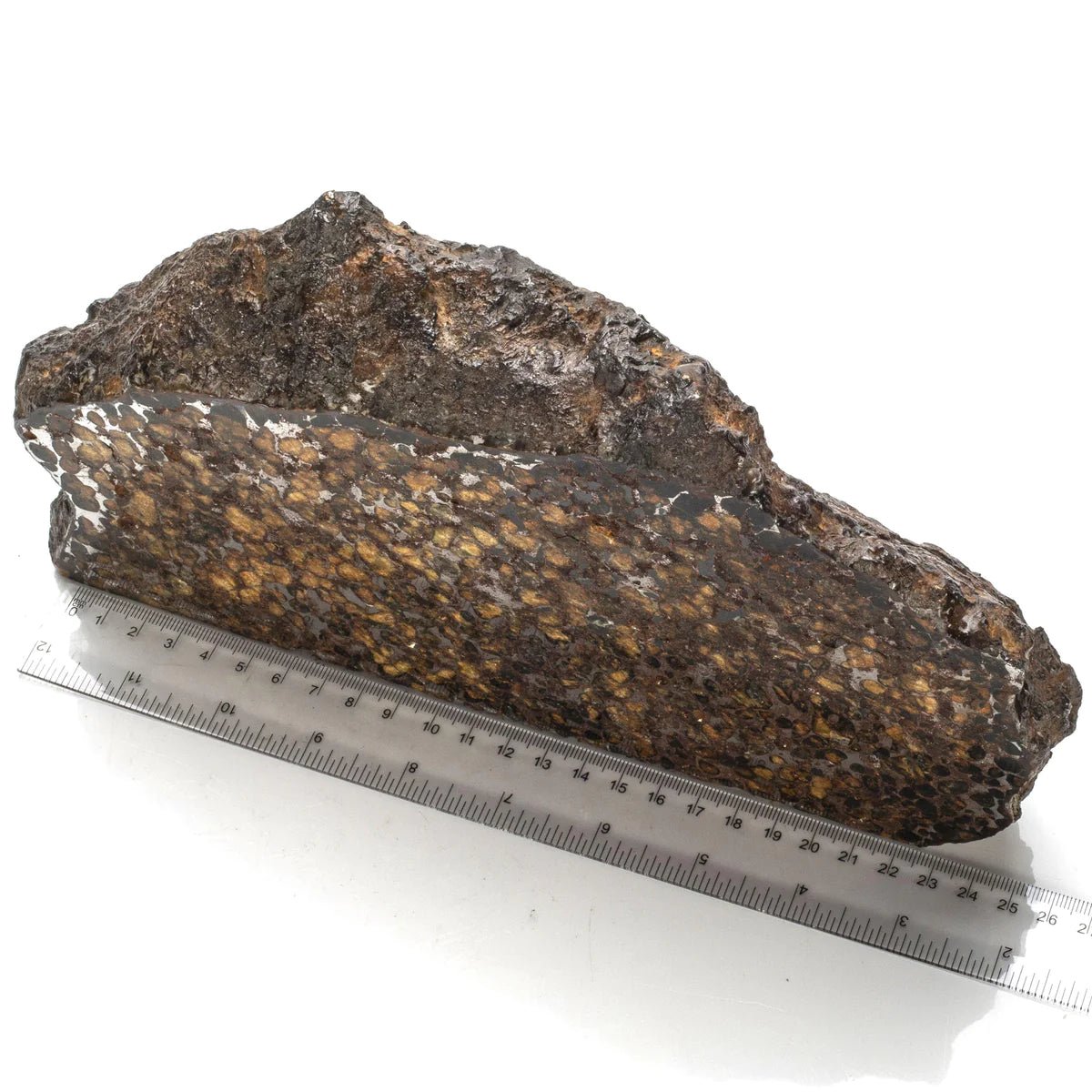 Natural Sericho Pallasite Meteorite from Kenya - 5,309 grams - Xformerz