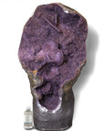 Natural Uruguayan Amethyst Geode - 41 in 396 lbs - Xformerz