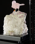 Peter Muller Amethyst & Rose Quartz Sparrow Couple Love Birds Carving on Calcite & Watermelon Tourmaline Base - Xformerz