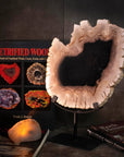 Petrified Wood Slice on Stand - Xformerz