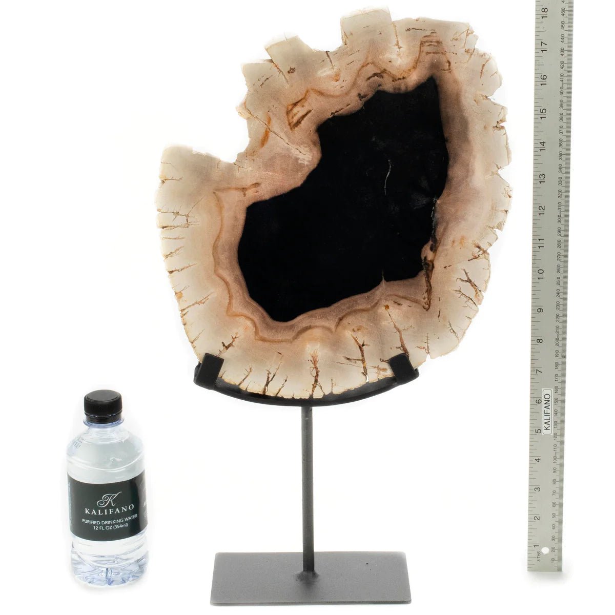 Petrified Wood Slice on Stand - Xformerz