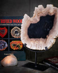 Petrified Wood Slice on Stand - Xformerz