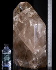 Rutilated Smoky Citrine Obelisk 18 76 lbs - Xformerz