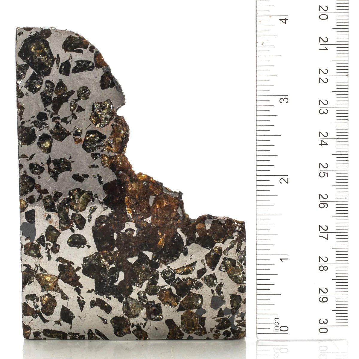 Seymchan Pallasite Iron Meteorite - 406 grams - Found in 1967 - Russia - TKW 350 kg - Xformerz