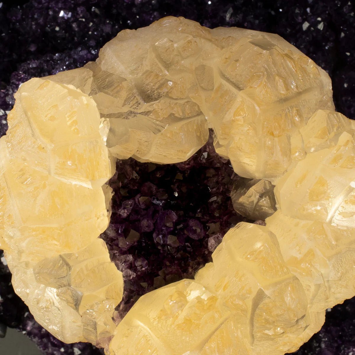 Uruguayan Amethyst Geode Specimen with Natural Rare Calcite Crown - Xformerz