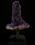 Uruguayan Amethyst Geode Specimen with Rare Stalactite Growth - Xformerz